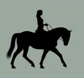 Equestrian gifts
