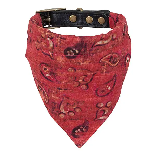 Country music gift: Miranda Lambert’s Bandana Dog Collar
