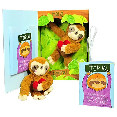 Feel Like a Sloth? Hang in There! Get Well Soon Gift for After Surgery