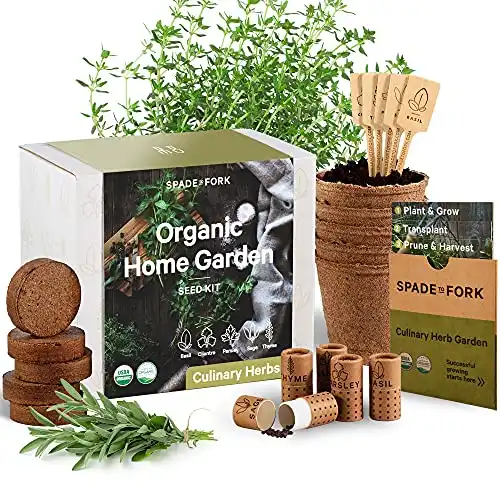 Indoor Herb Garden Starter Kit- DIY Kitchen Grow Kit